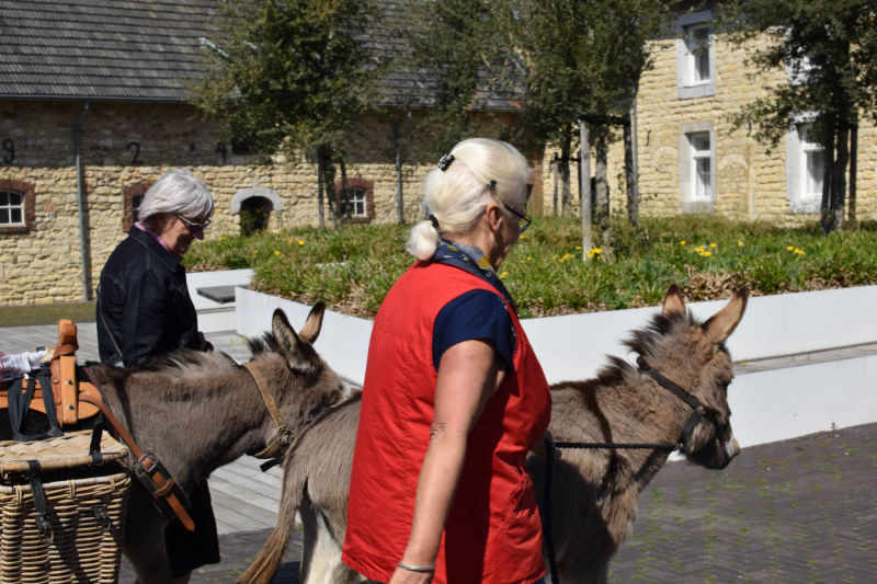 Twee dames lopen met 2 ezels op een binnenplaats van een oude boerderij